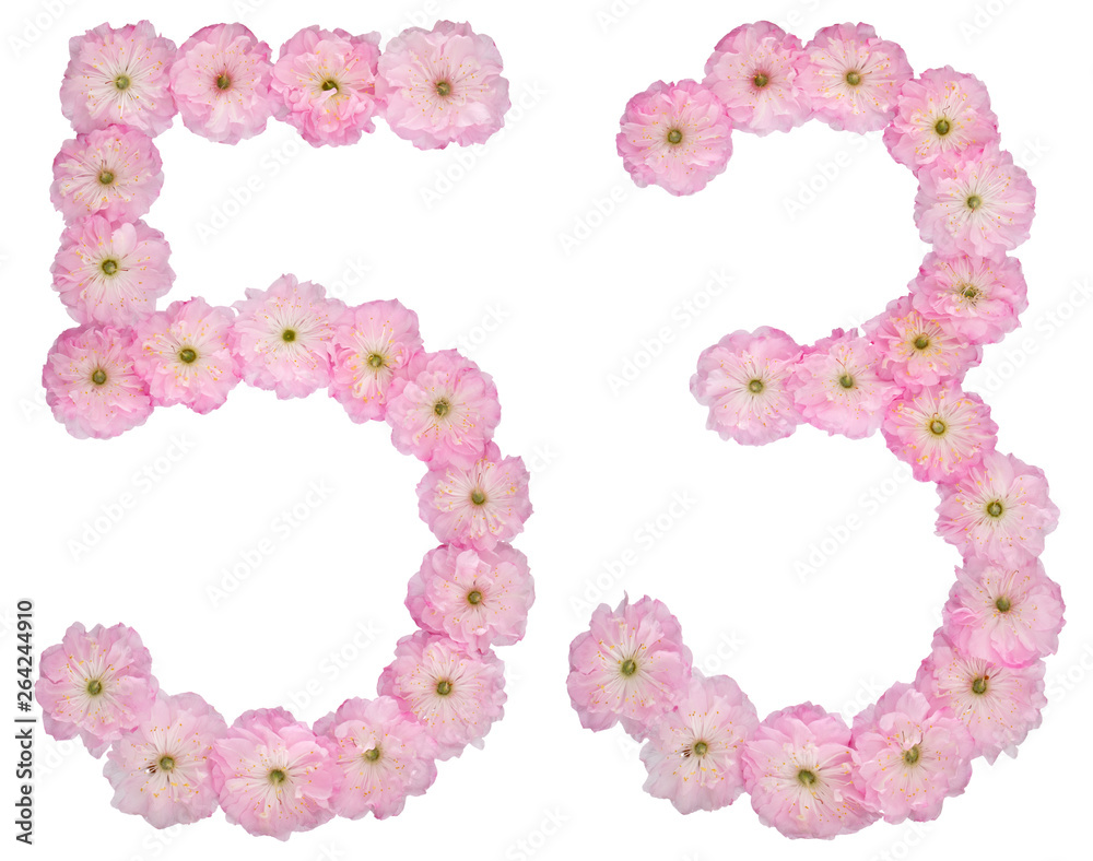 Numeral 53, fifty three, from natural pink flowers of almond tree, isolated on white background
