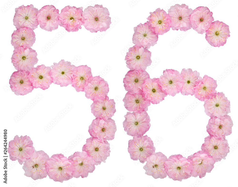 Numeral 56, fifty six, from natural pink flowers of almond tree, isolated on white background