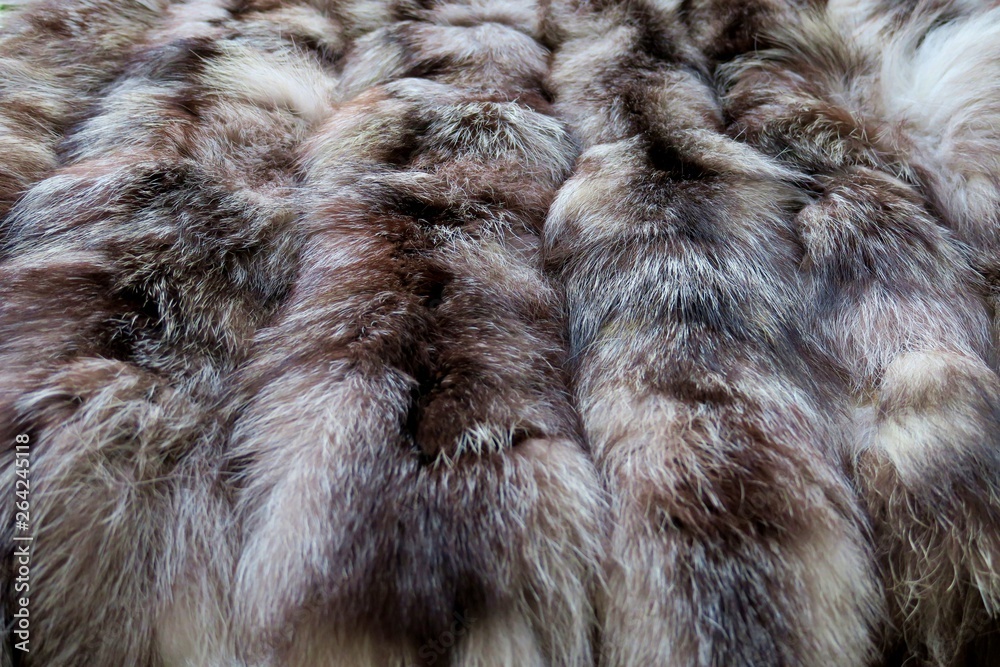 natural fur gray white with black stripes natural fur gray white with black stripes
