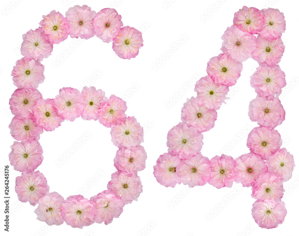 Numeral 64, sixty four, from natural pink flowers of almond tree, isolated on white background
