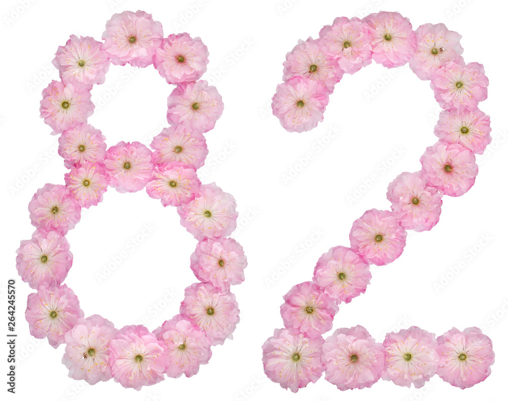 Numeral 82, eighty two, from natural pink flowers of almond tree, isolated on white background