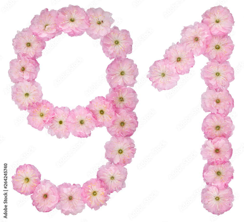 Numeral 91, ninety one, from natural pink flowers of almond tree, isolated on white background