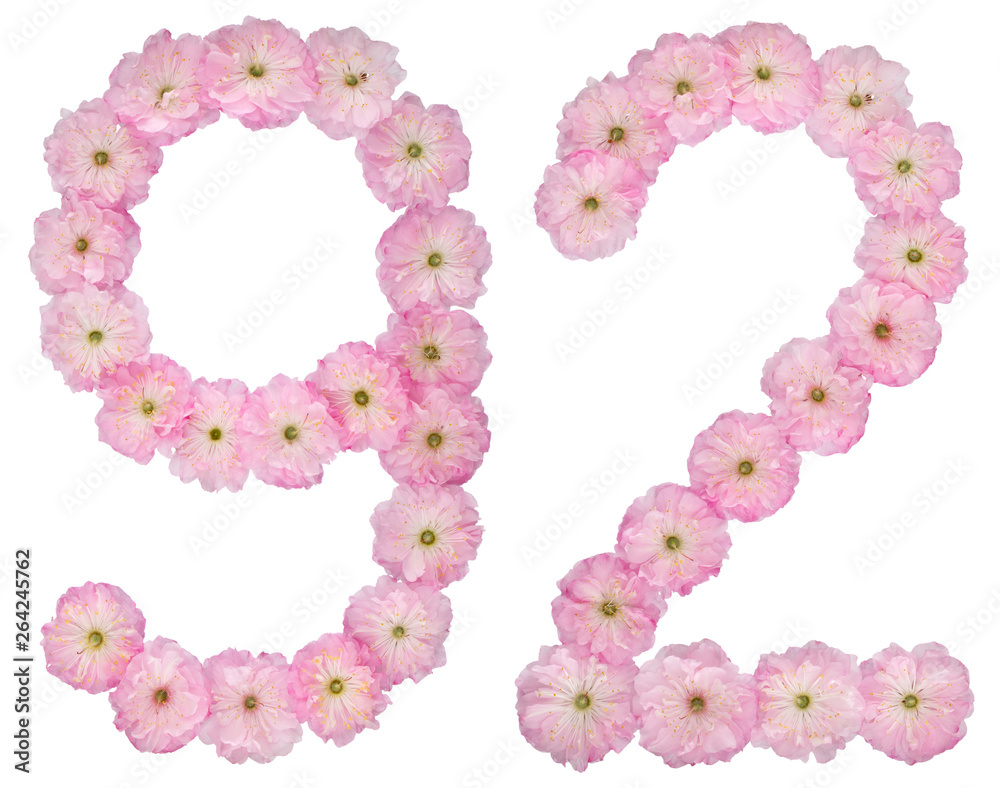 Numeral 92, ninety two, from natural pink flowers of almond tree, isolated on white background