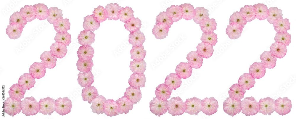 Inscription 2022, from natural pink flowers of almond tree, isolated on white background Inscription 2022, from natural pink flowers of almond tree, isolated on white background