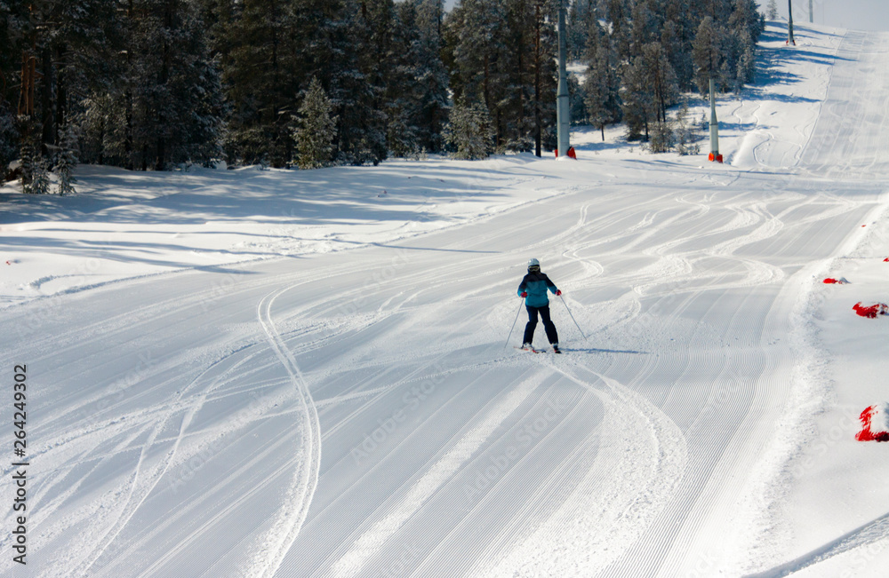 Skiers on the piste among white snow covered trees and landscape.