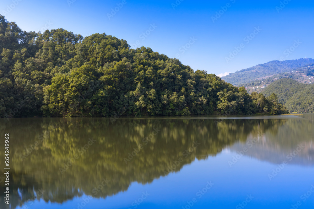 Reflection of the forest in lake Reflection of the forest in lake