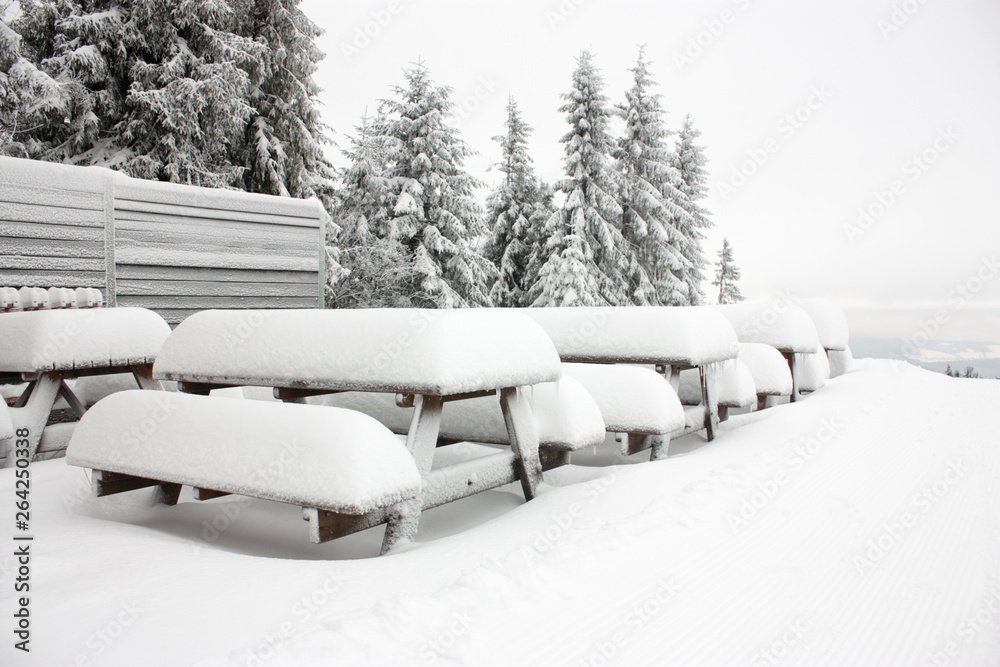 custom made wallpaper toronto digitalbench in the snow