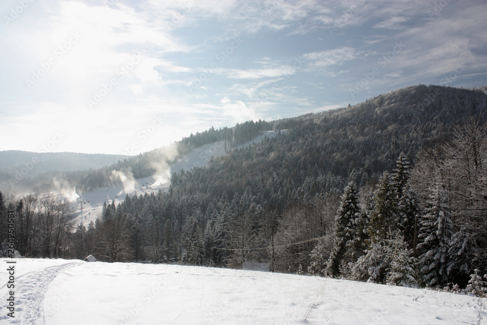 Beskids Mountains in winter sunny day