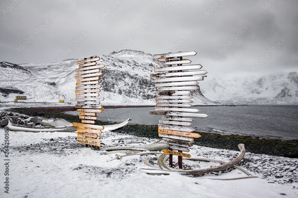Whale bones at Arctowski Station in Antarctica