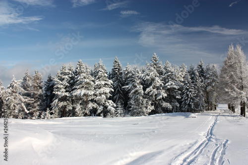 Beskids Mountains in winter sunny day