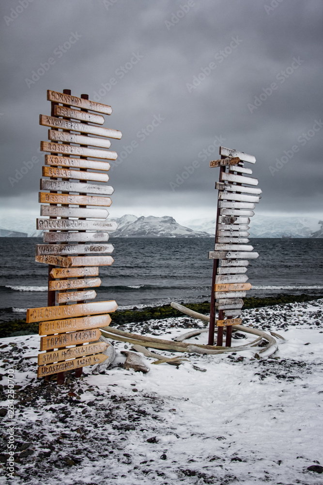 Whale bones at Arctowski Station in Antarctica