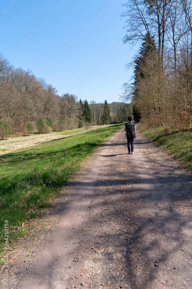 Dahnerfelsenland pfalz Dahnerfelsenland pfalz