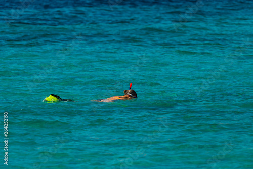 Vacation tourist, young person, snorkeling in paradise clear water. Snorkeler in crystalline waters . Turquoise sea background.