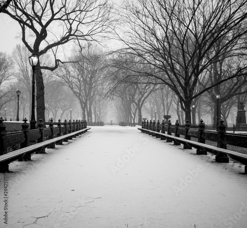 Snow Covered Central Park
