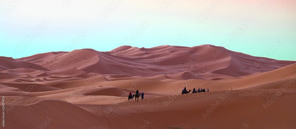 Fototapeta premium Camel caravan with a camel driver performs the transition of tourists in the Sahara Desert in Morocco