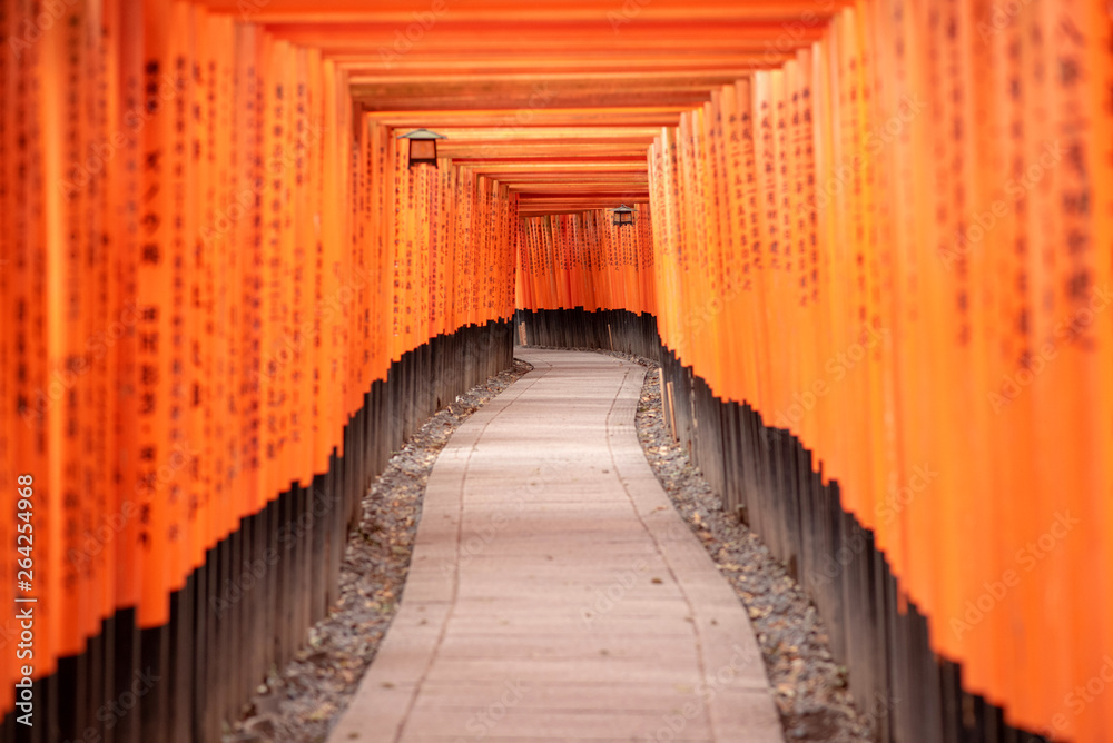 Fototapeta premium Red Torii gates in Fushimi Inari shrine