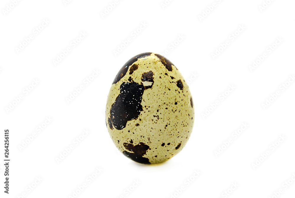 One quail egg in a brown speck One quail egg in a brown speck