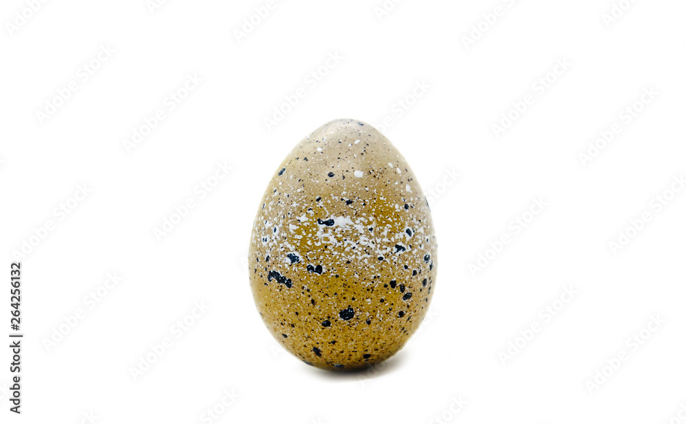One quail egg in a brown speck One quail egg in a brown speck