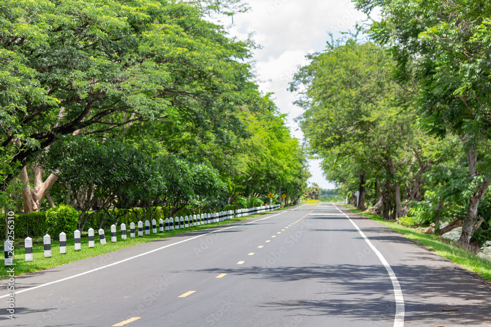 Fototapeta premium Curve road with pole barrier and Trees on both sides