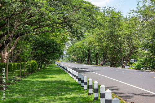 Curve road with pole barrier and Trees on both sides