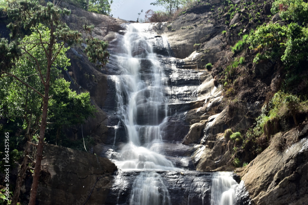 Fototapeta premium Silver Cascade falls at Kodaikanal