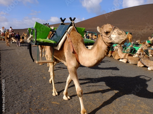 Lanzarote - iles Canaries photo