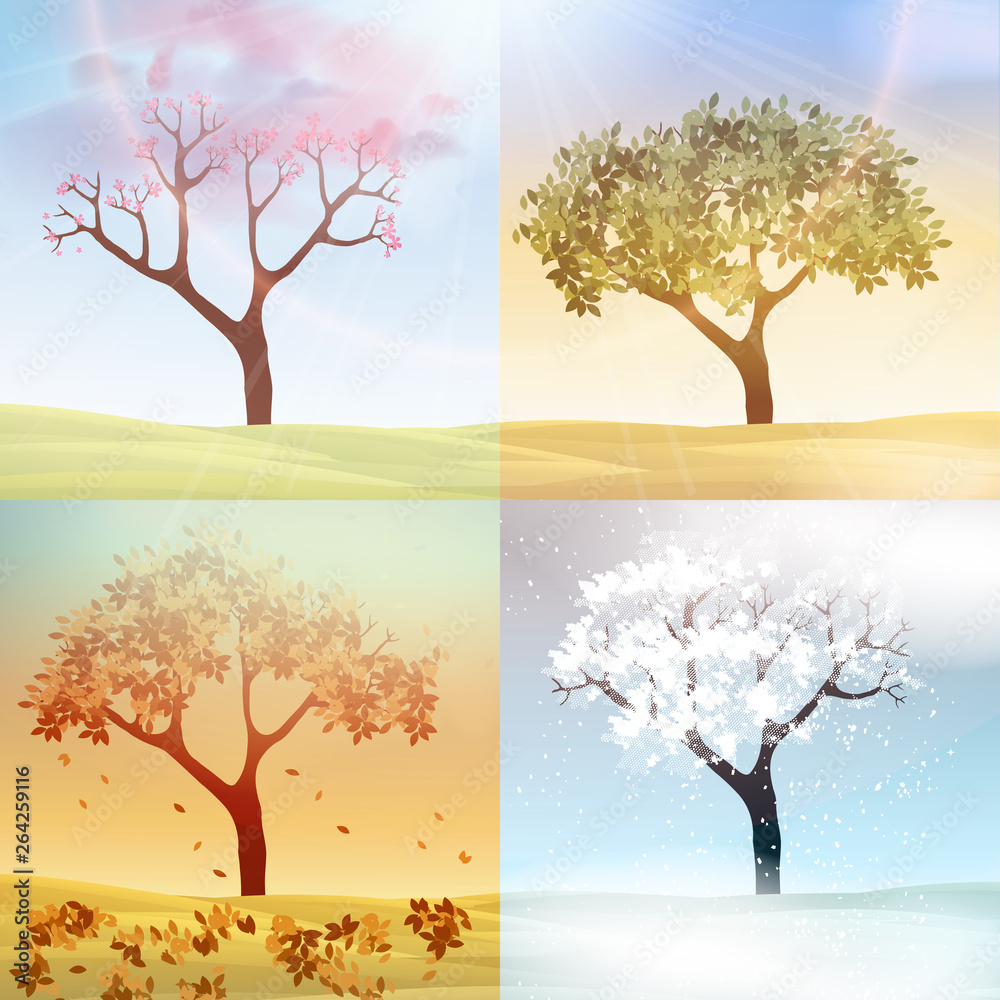Four Seasons Spring, Summer, Autumn, Winter Banners with Abstract Trees -  Vector Illustration Stock Vector