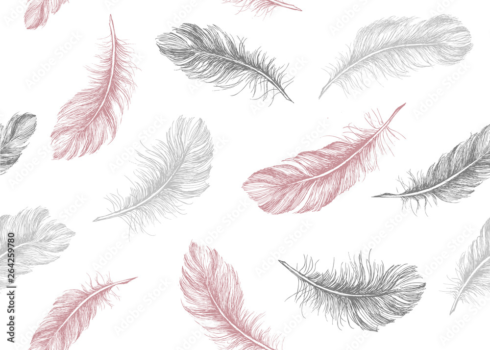 Hand drawn feather on white background Hand drawn feather on white background