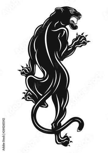 Tiger_0007