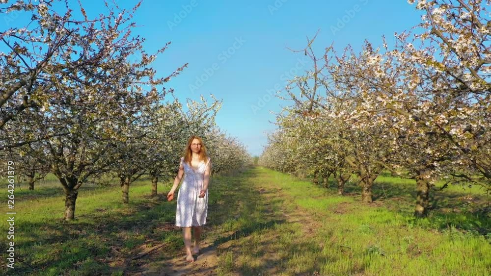 young redhead female walking and having fun in blossoming cherry garden young redhead female walking and having fun in blossoming cherry garden