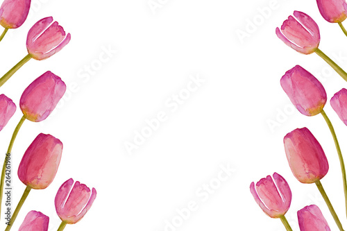 Hand-drawn atercolor pink spring Tulips isolated spring flowers. Greeting card design template. Copy space. #264261986