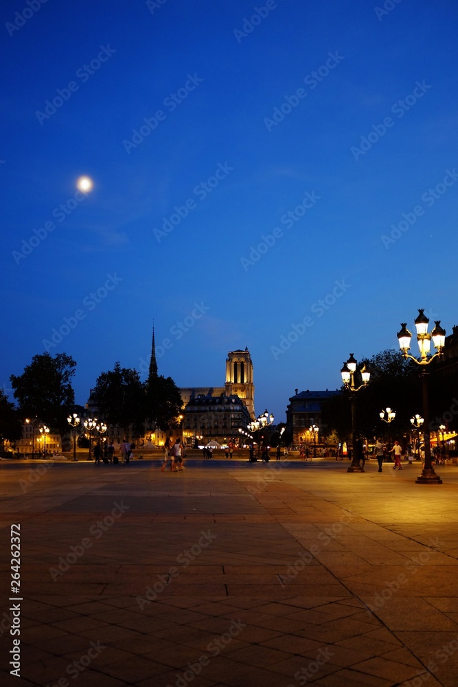 Obraz premium Notre Dame de Paris