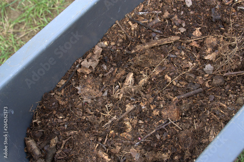 Wallpaper Mural bac de compost de feuilles et de branchages  Torontodigital.ca