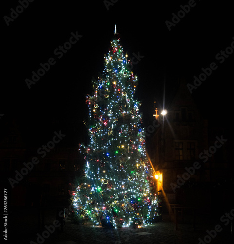 Christmas tree in the night