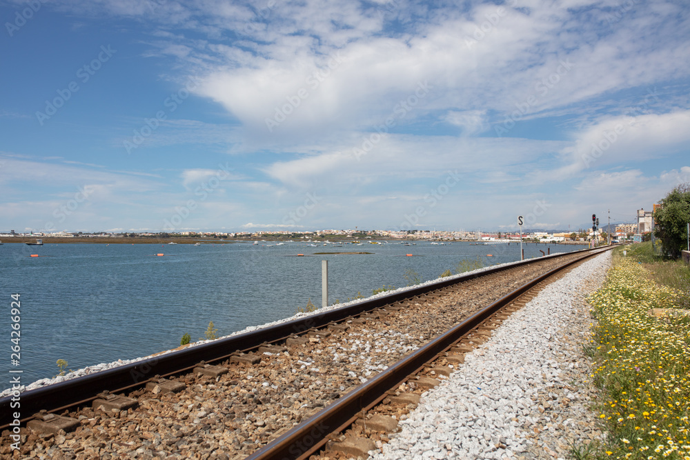 Fototapeta premium the city of Faro