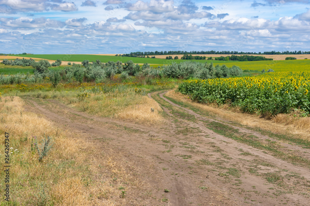 Forked earth road through summer meadow near Dnipro city in central Ukraine