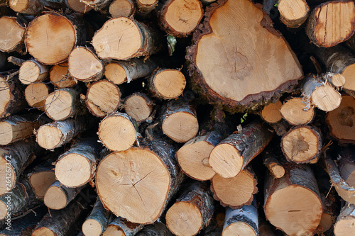 Pile of a birch firewood
