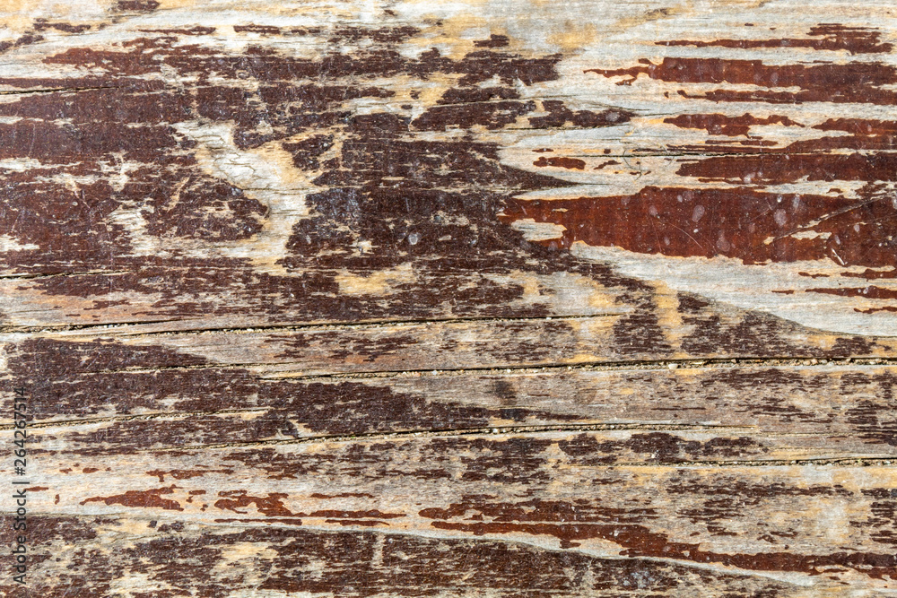 Obraz premium Old Wood Texture