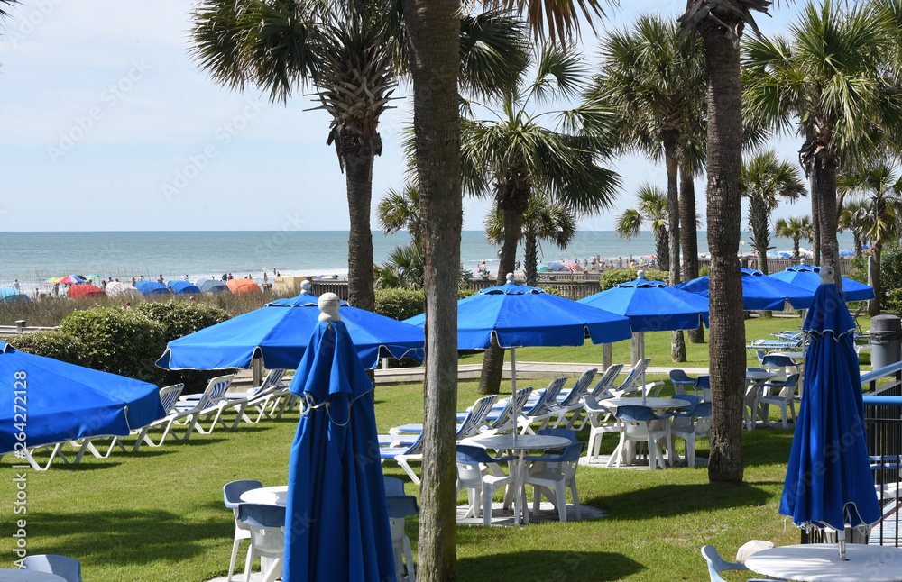 An oceanfront resort with palm trees in Myrtle Beach, SC