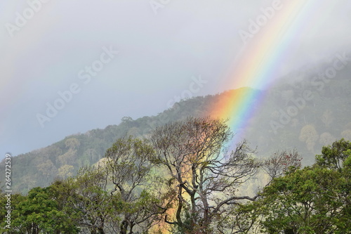 Rainbow in the clouds, Boquete, Panama © Viktoriia
