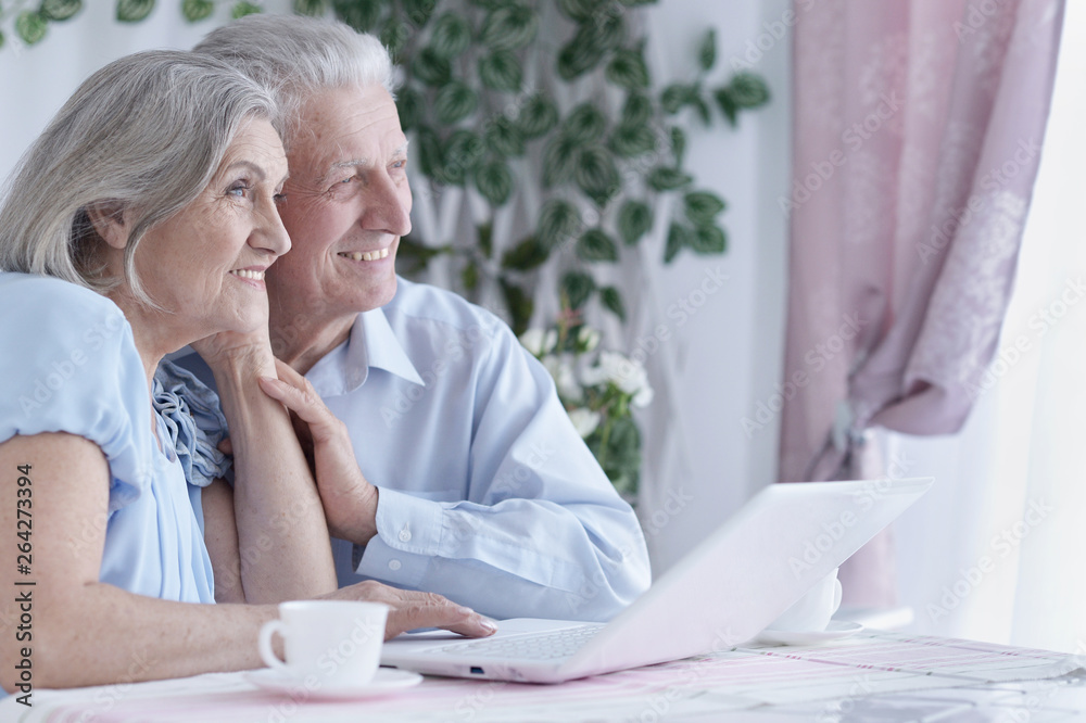 Happy senior couple portrait drinking tea and using laptop Happy senior couple portrait drinking tea and using laptop