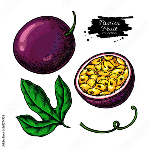 Passion fruit vector drawing set. Hand drawn tropical food illustration. Summer passionfruit objects.