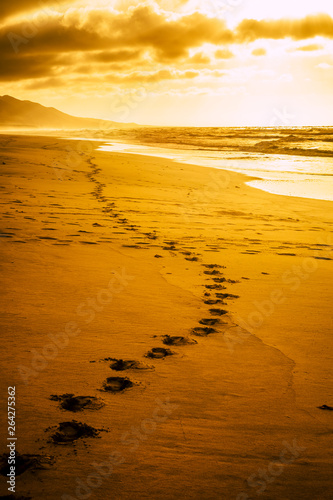 Fototapeta Naklejka Na Ścianę i Meble -  Golden amazing scenic place sunset at the wild beach with footprint - travel and discover destinations alternative inthe world - lonely and sadness motivational image