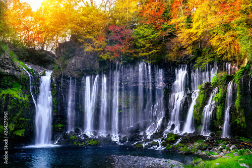 Shiraito waterfall in Japan. photo