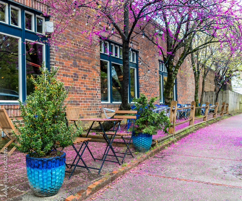Blue table and chairs at a restaurant with beautiful flowering trees