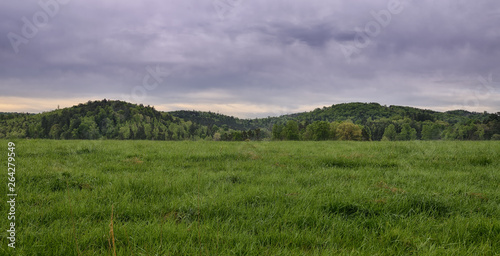  The Mounds  two mountains in the distance with lush green spring pastureZDS Americana Landscapes Collection