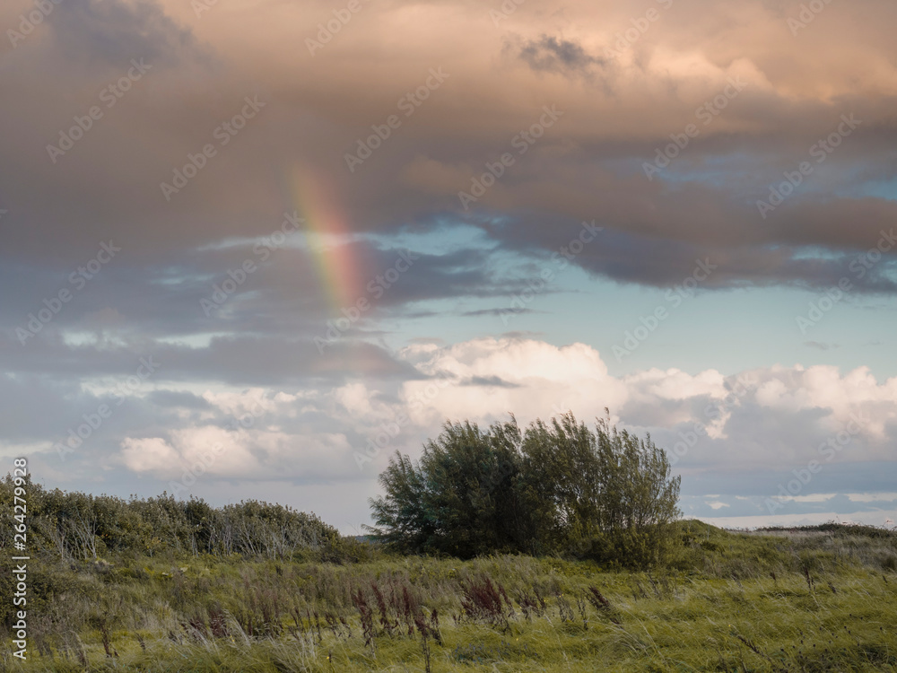 landscape with rainbow and sky