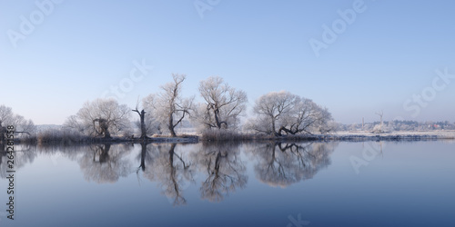 Mit Reif bedeckte Bäume an Fluss vor blauem Himmel, Parey, Havelland