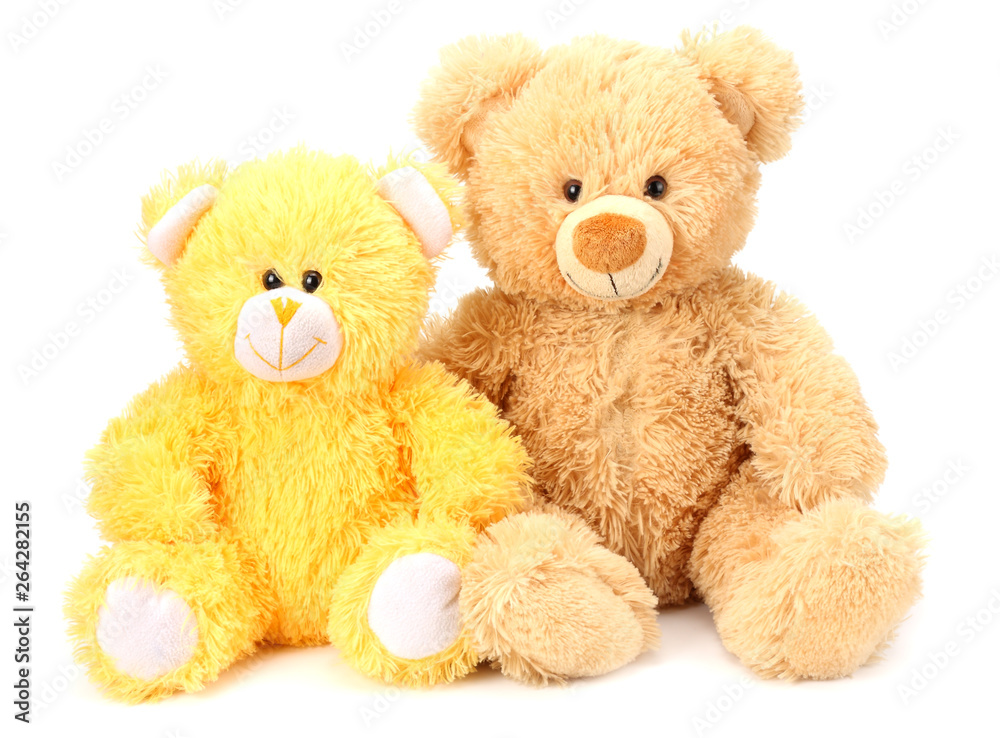 Two toy teddy bears isolated on white background