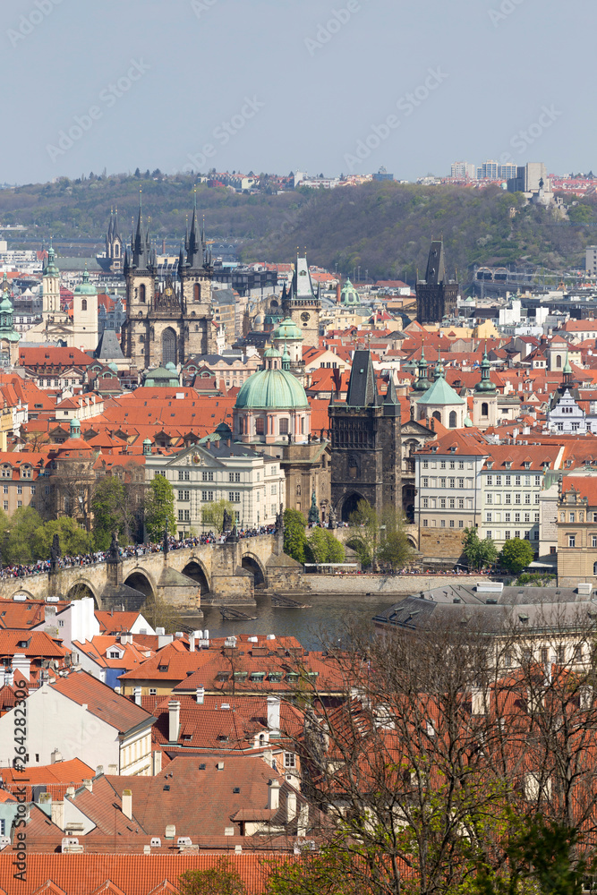 Obraz premium Spring Prague City with Charles Bridge and green Nature with flowering Trees, Czech Republic